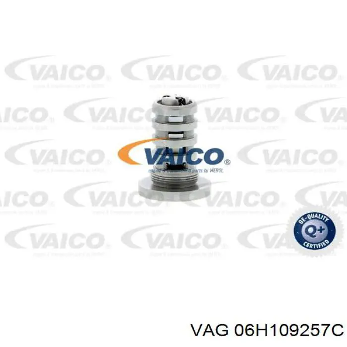 Perno hidráulico de distribución 06H109257C VAG