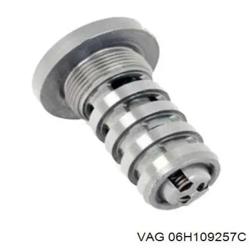 06H109257C VAG Perno hidráulico de distribución