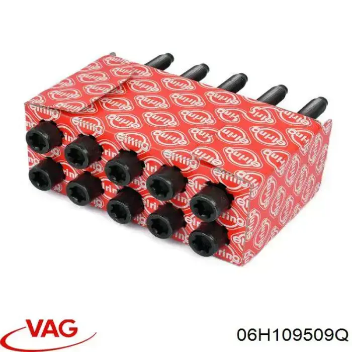 06H109509Q VAG Guía del tensor de la cadena de distribución