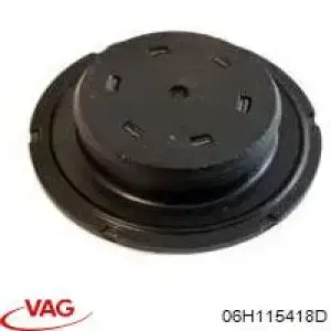 Tapa de cilindro VAG 06H115418D precio, desde 4,57 EUR