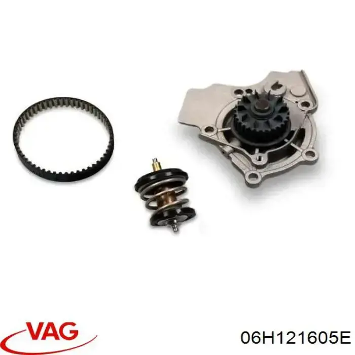 06H121605E VAG Correa poly v