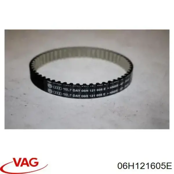 B10231 Borsehung Correa poly v