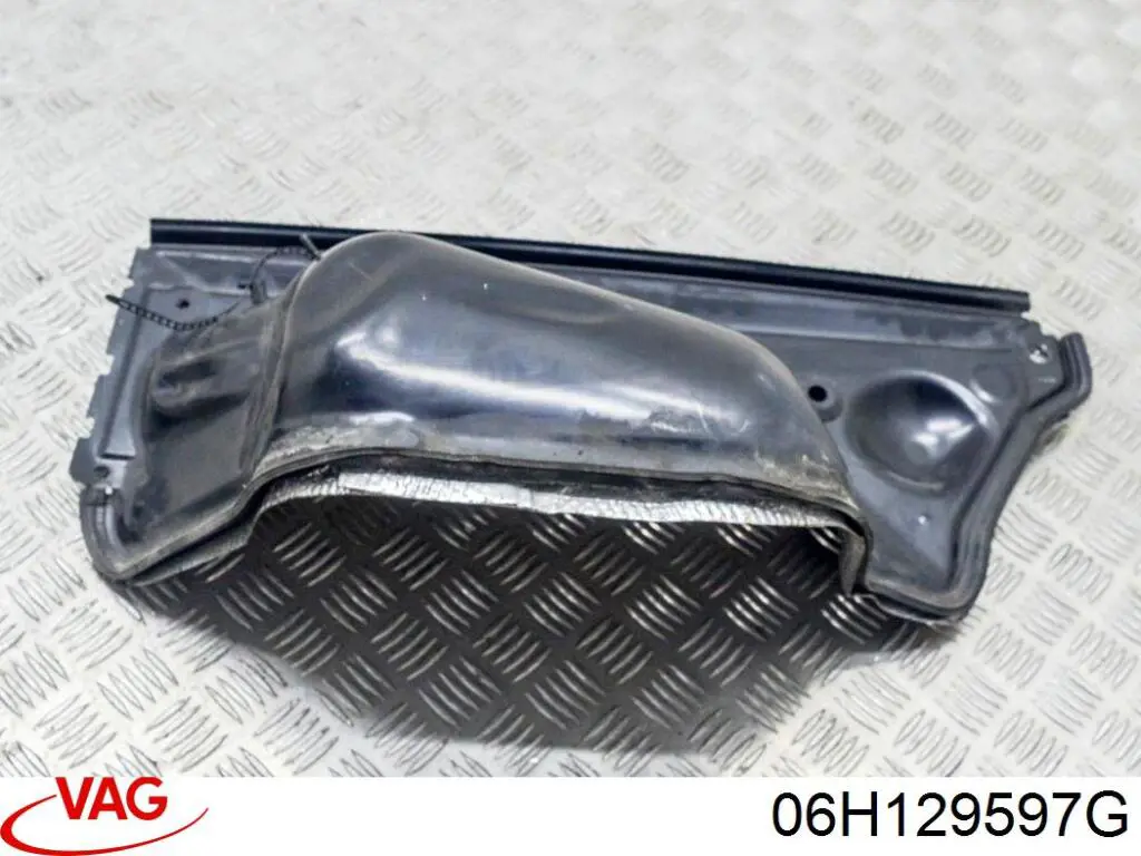  06H129597G VAG