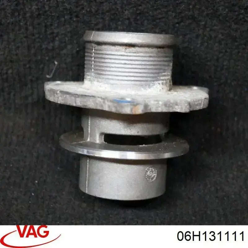  VAG 06H131111