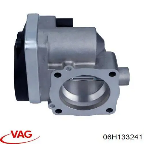 06H133241 VAG 