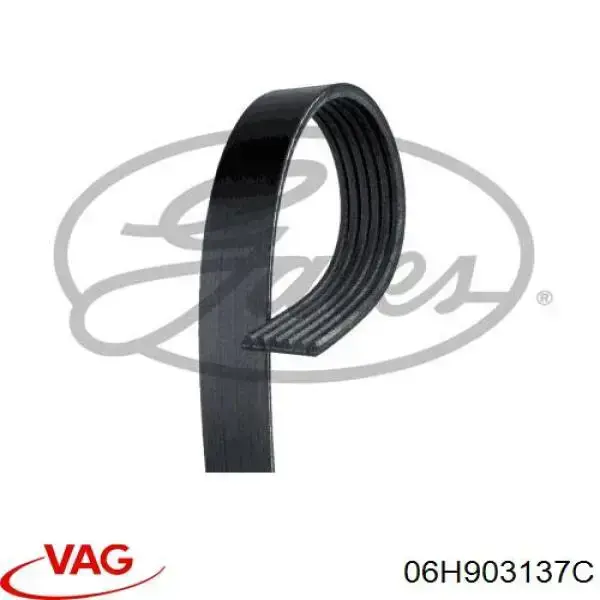 Correa de alternador 06H903137C VAG