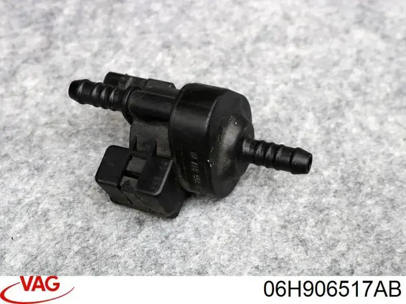  06H906517AB VAG