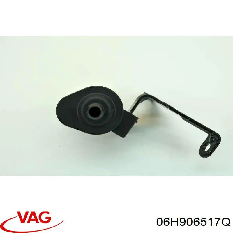 Válvula de ventilación de gases del tanque de combustible VAG 06L133781Q