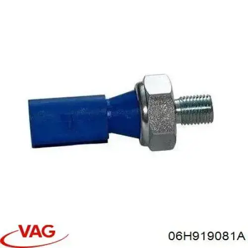 06H919081A VAG Indicador de presión del aceite