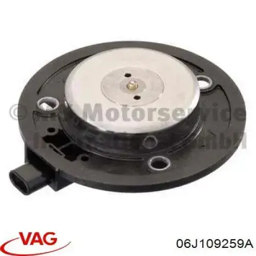Comprar 06J109259A VAG Válvula de control del árbol de levas