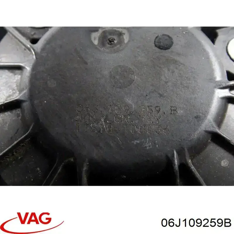 06J109259B VAG