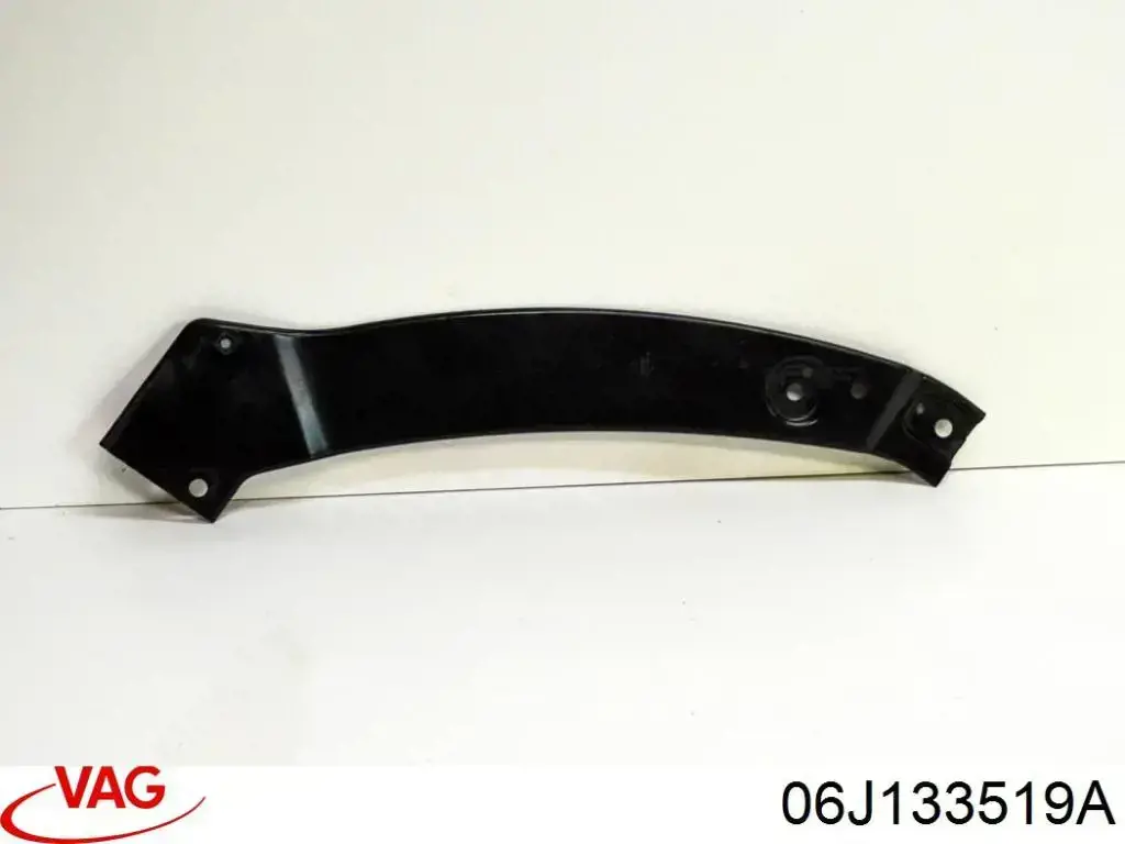 Comprar 06J133519A VAG 