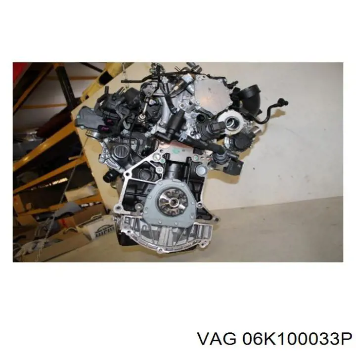 06K100035F VAG