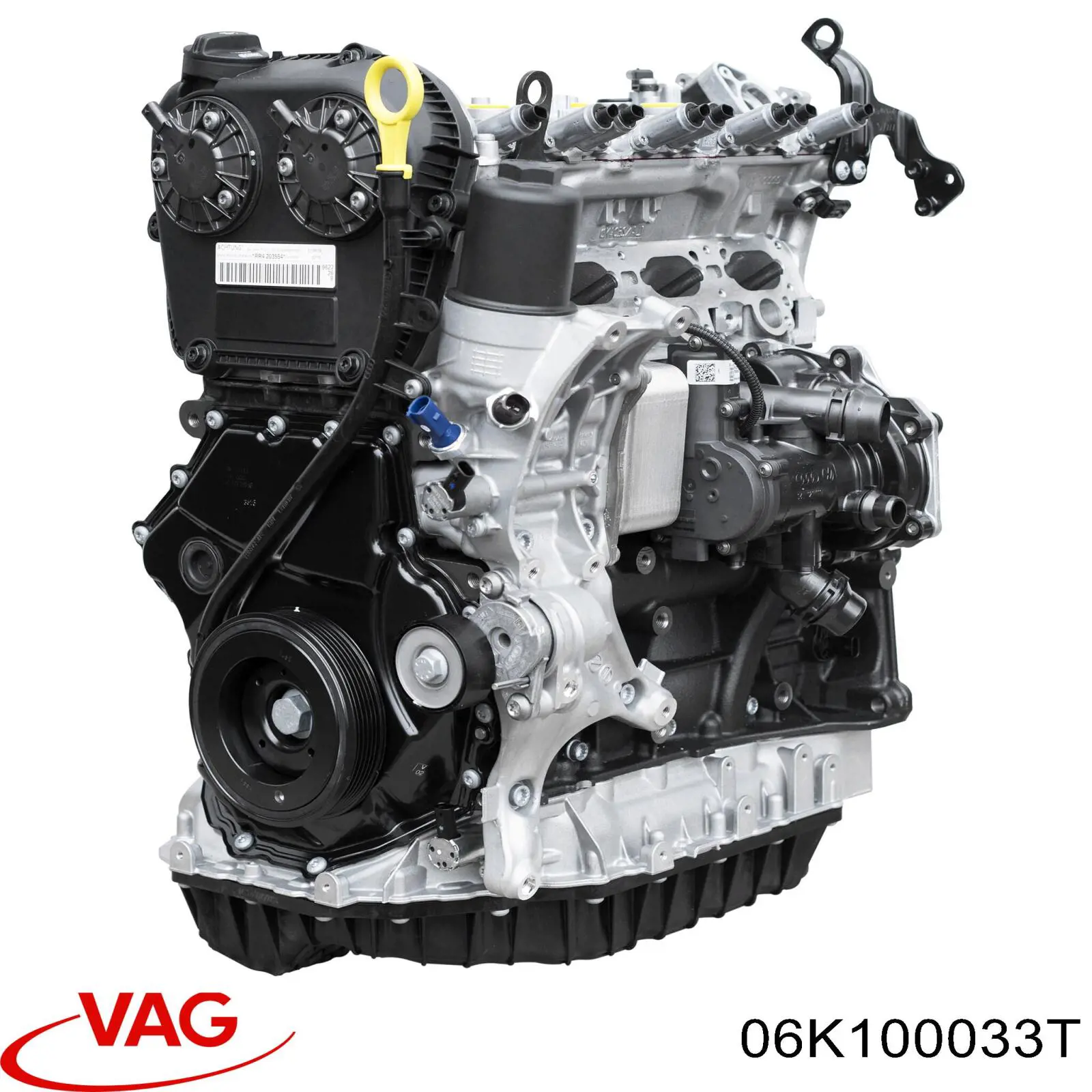 06K100033T VAG