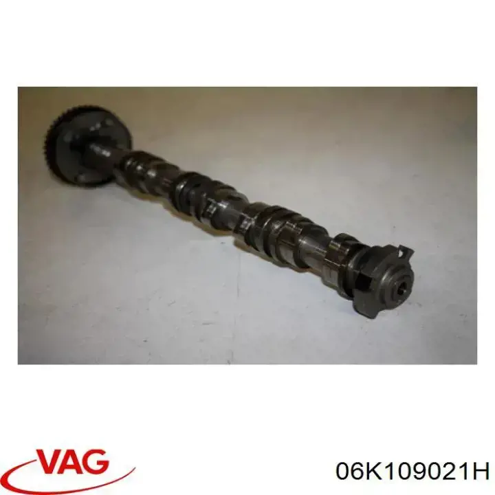 06K109021N VAG