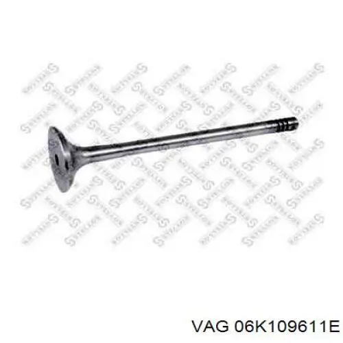 06K109611A VAG