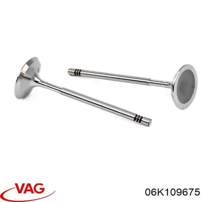 Sello De Aceite De Valvula (Rascador De Aceite) Entrada/Salida Volkswagen Multivan 7HM, 7HN, 7HF, 7EF, 7EM, 7EN