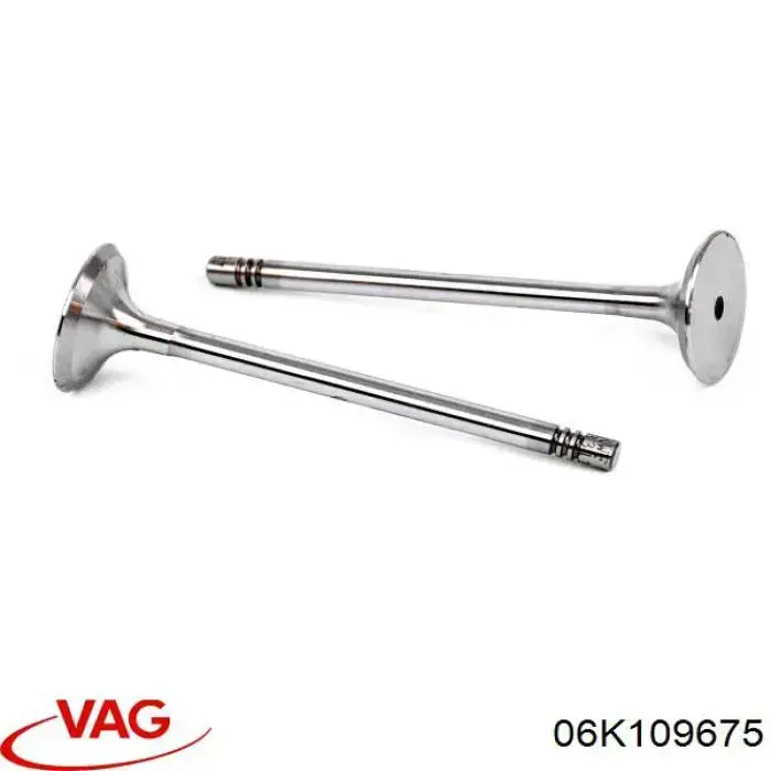 Sello De Aceite De Valvula (Rascador De Aceite) Entrada/Salida Volkswagen Multivan 7HM, 7HN, 7HF, 7EF, 7EM, 7EN