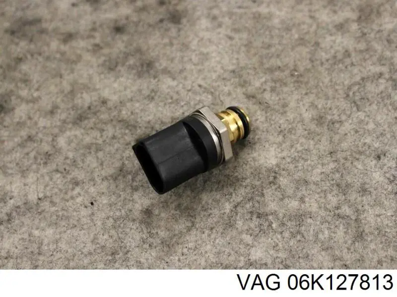 06K127813 VAG 