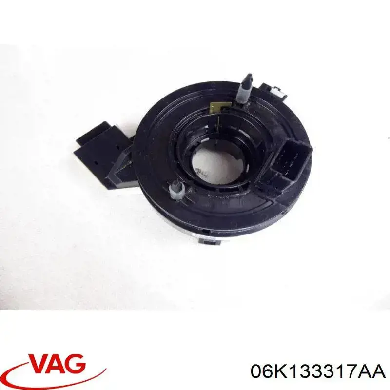 Rampa De Inyección Combustible VAG 06K133317AA