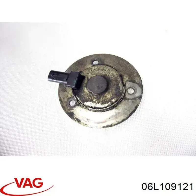 Comprar 06L109121 VAG 