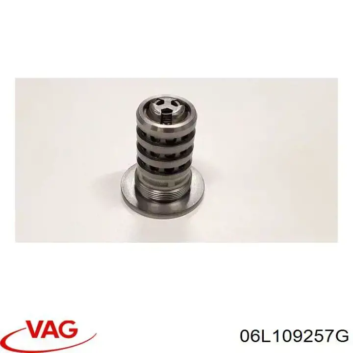 Comprar 06L109257G VAG Válvula de control del árbol de levas