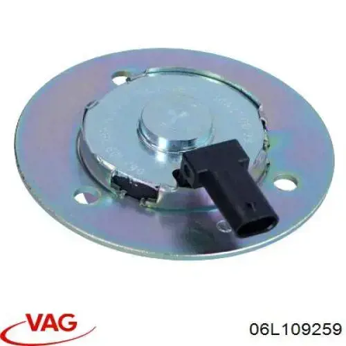 06L109259 VAG Válvula control, ajuste de levas