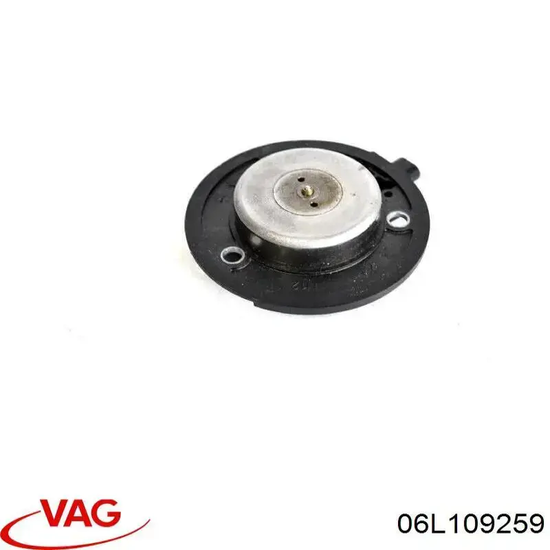 Válvula de control del árbol de levas 06L109259 VAG