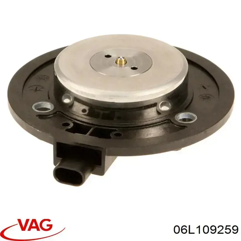 Válvula de control del árbol de levas VAG 06L109259 precio, desde 34,55 EUR