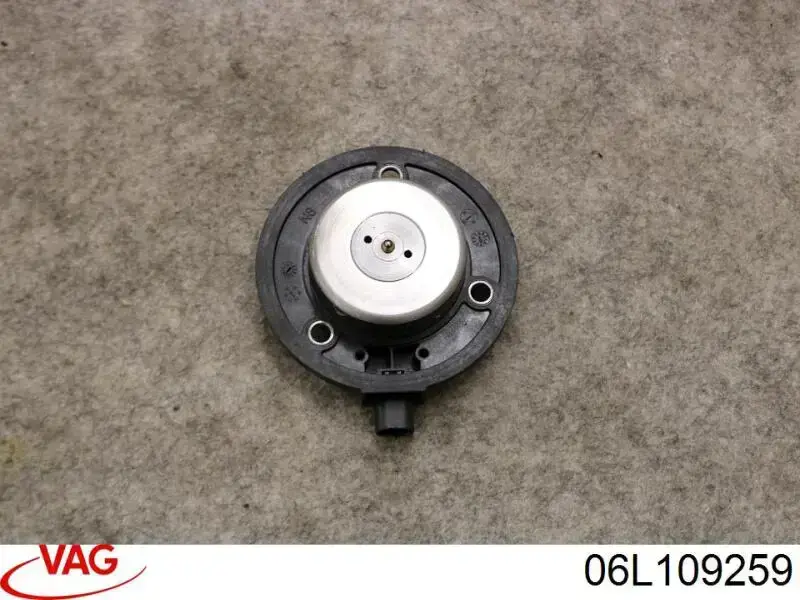 Comprar 06L109259 VAG Válvula de control del árbol de levas