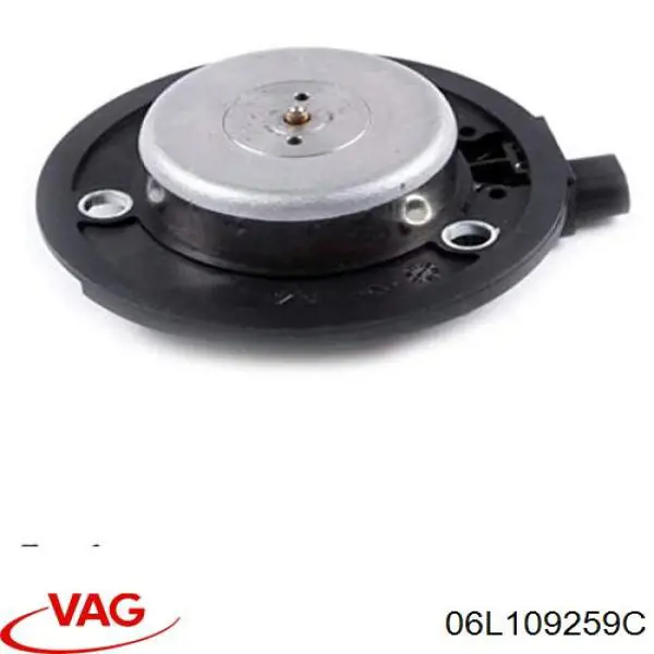 Válvula de control del árbol de levas VAG 06L109259C precio, desde 33,92 EUR