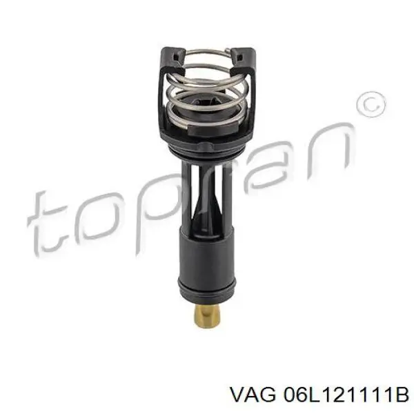 Motor de agua, completo con caja VAG 06L121111B