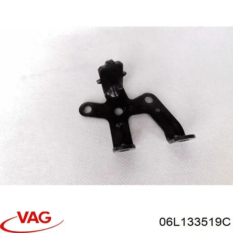 06L133519C VAG 
