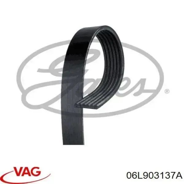 Correa trapezoidal Nissan Qashqai 2 J11