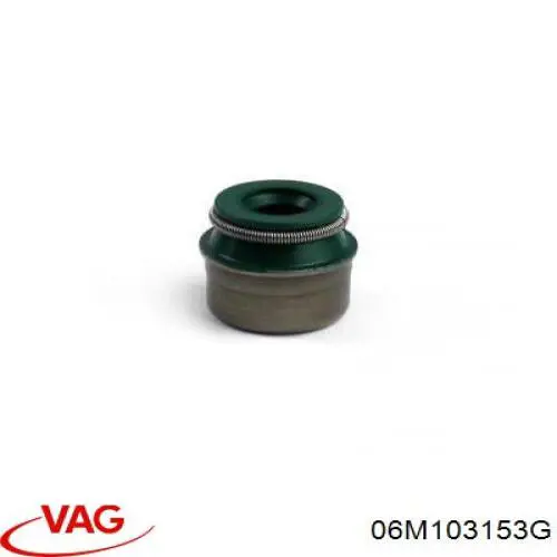 06M103153G VAG