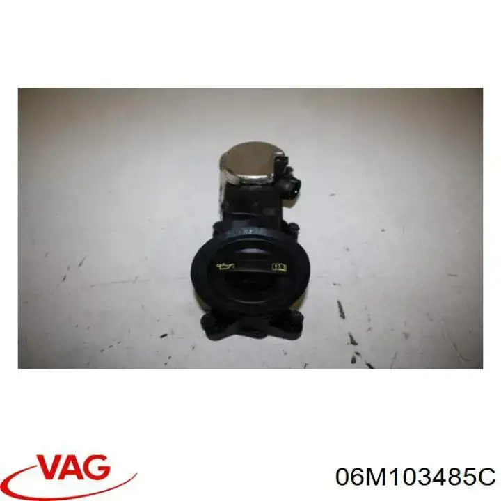 06M103485C VAG