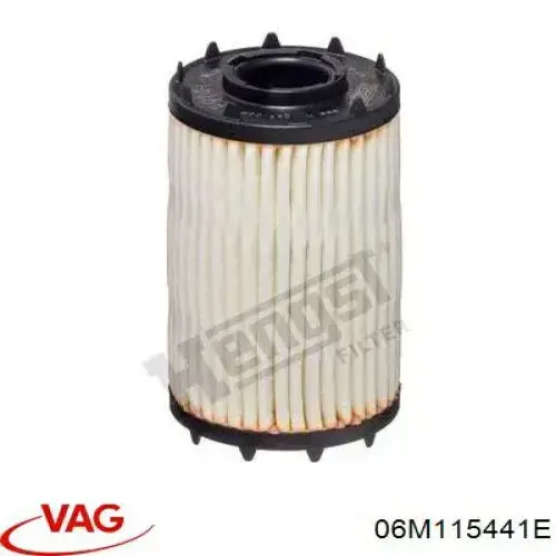 06M115441G VAG