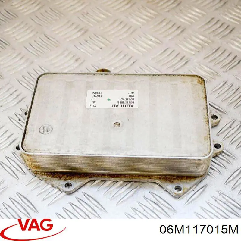 06M117015M VAG Radiador de aceite