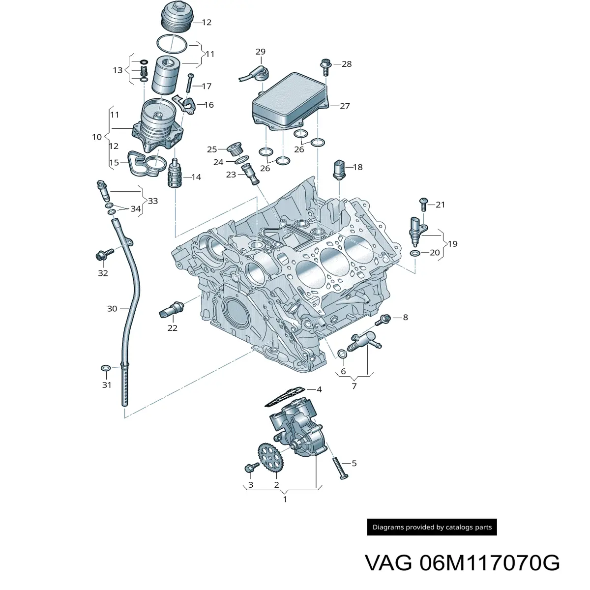 06M117070G VAG