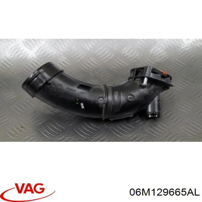 06M129665AL VAG