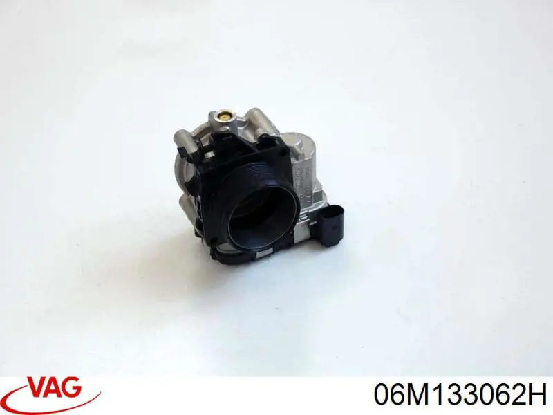 Cuerpo de aceleración completo VAG 06M133062H precio, desde 230,45 EUR