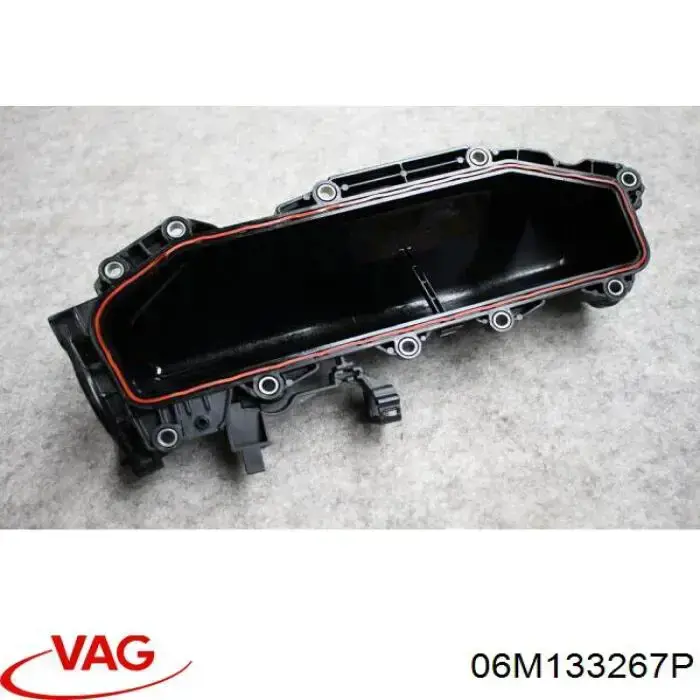  VAG 06M133267P