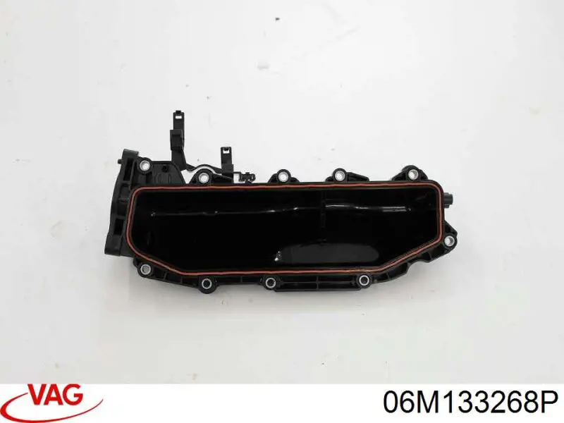  VAG 06M133268P