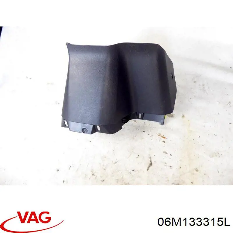 Rampa de combustible izquierda VAG 06M133315L precio, desde 90,02 EUR