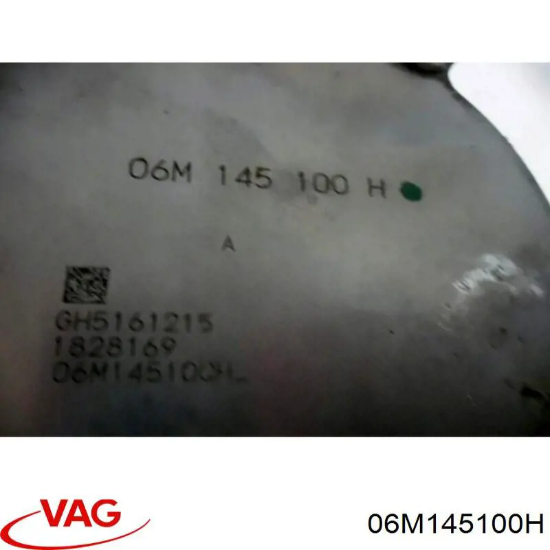 Bomba de vacío para Audi Q8 (4MN)