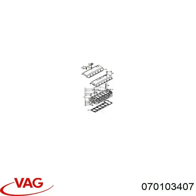 Tapón del árbol de levas 070103407 VAG