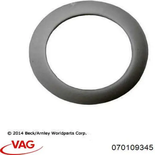 070109345 VAG