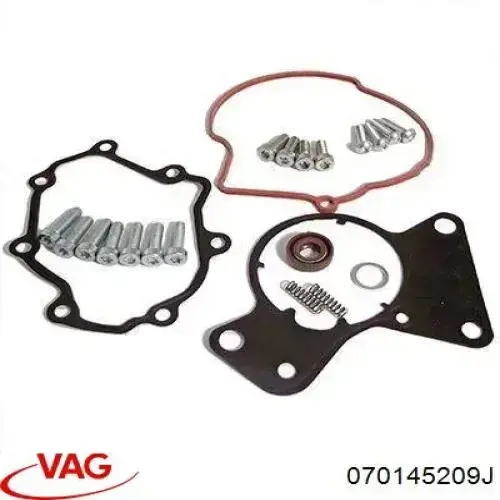 Bomba tándem de combustible VAG 070145209J