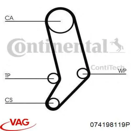 Comprar 074198119P VAG Kit de correa de distribución