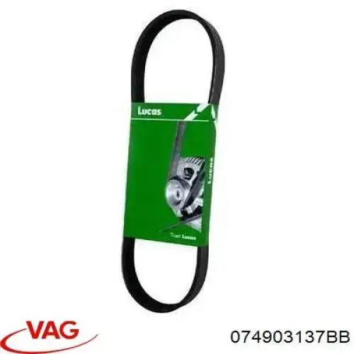 Correa de alternador 074903137BB VAG